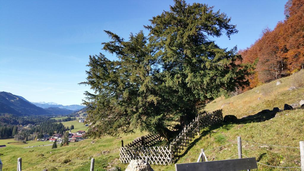 Gaestehaus Bergfrieden Bolsterlang Luaran gambar